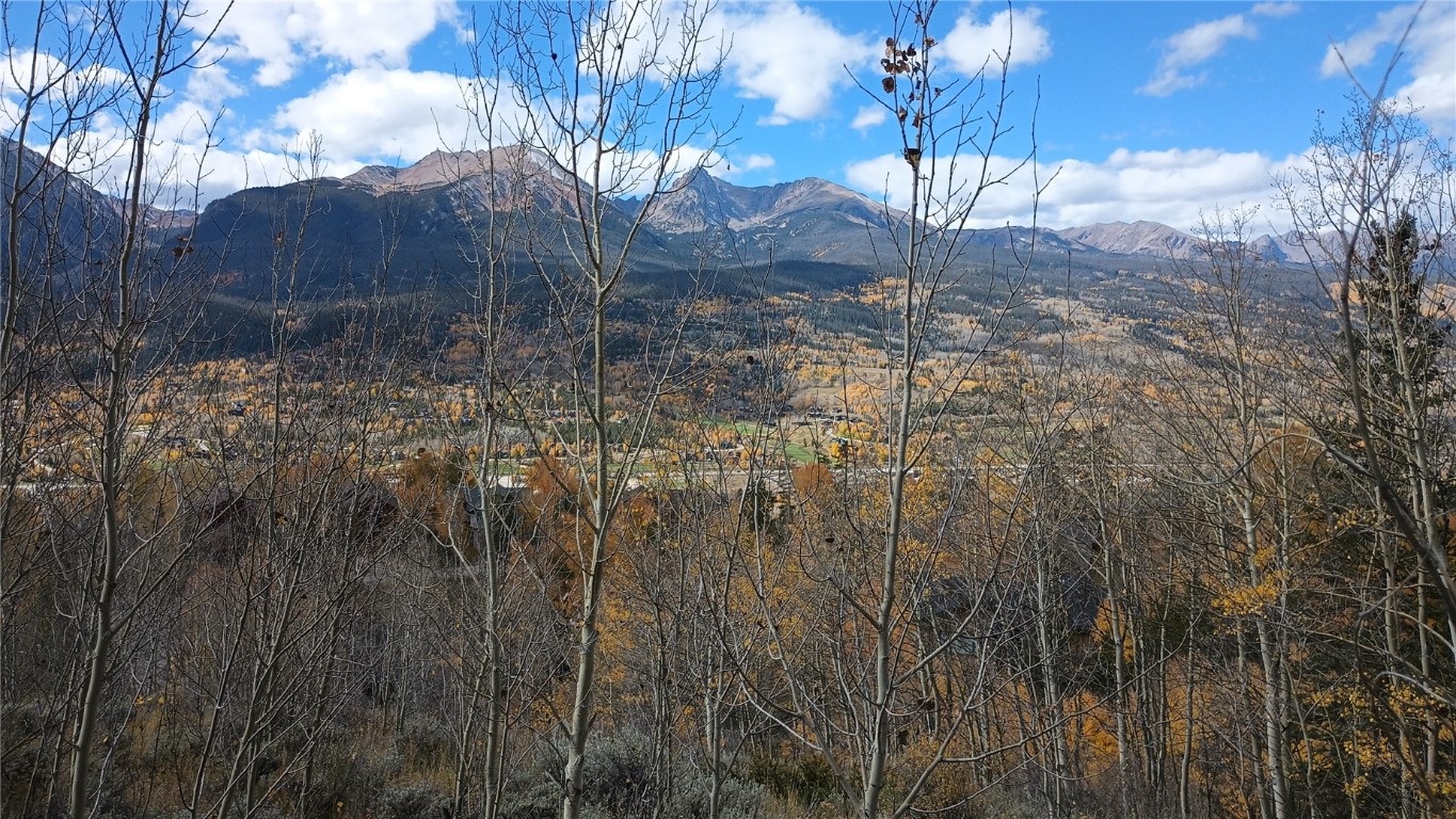 161 Angler Mountain Road Silverthorne, CO 80498 - Photo 2 of 7 a view of a yard