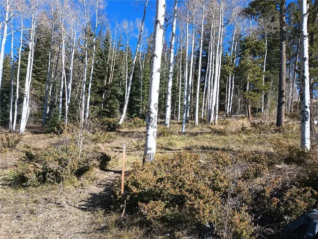 a view of outdoor space with trees
