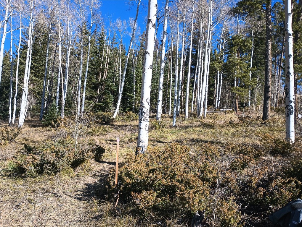 161 Angler Mountain Road Silverthorne, CO 80498 - Photo 4 of 7 a view of outdoor space with trees