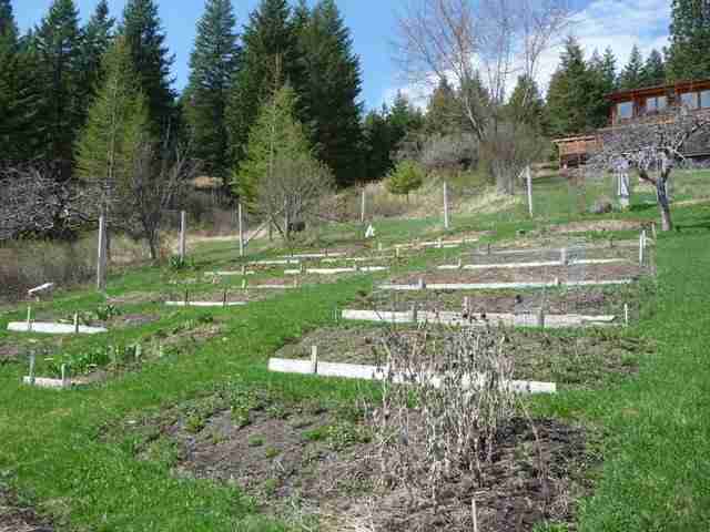 2662 Grimm Road Addy, WA 99101 - Photo 3 of 8