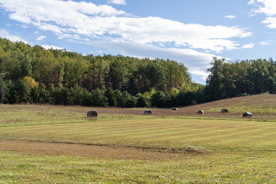507 Sandy Ridge Road Waynesboro, VA 22980 - Photo 73 of 73 Gallery Image 73