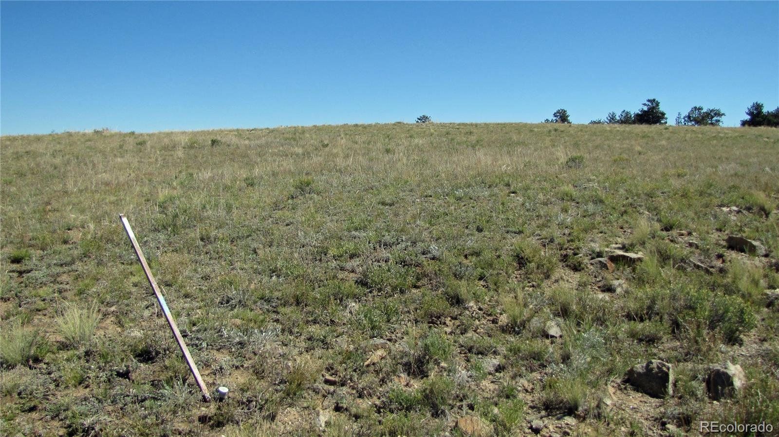 1198 Wagon Wheel Road Hartsel, CO 80449 - Photo 15 of 22