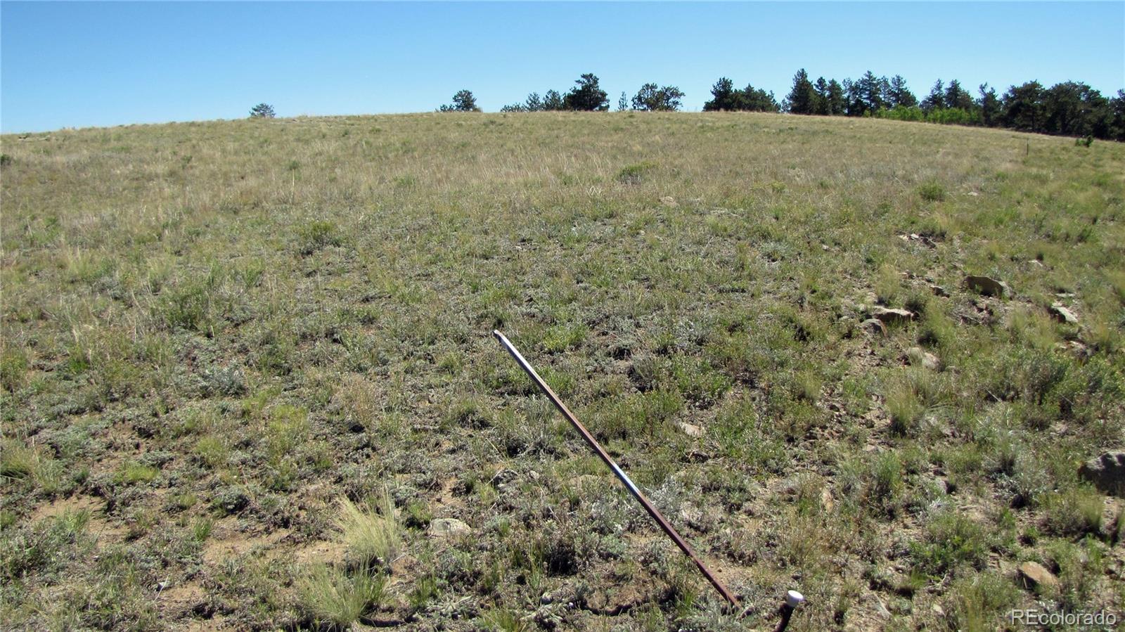 1198 Wagon Wheel Road Hartsel, CO 80449 - Photo 16 of 22