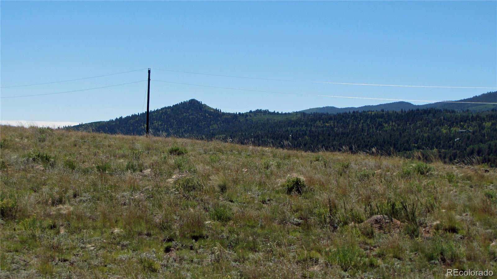 1198 Wagon Wheel Road Hartsel, CO 80449 - Photo 17 of 22