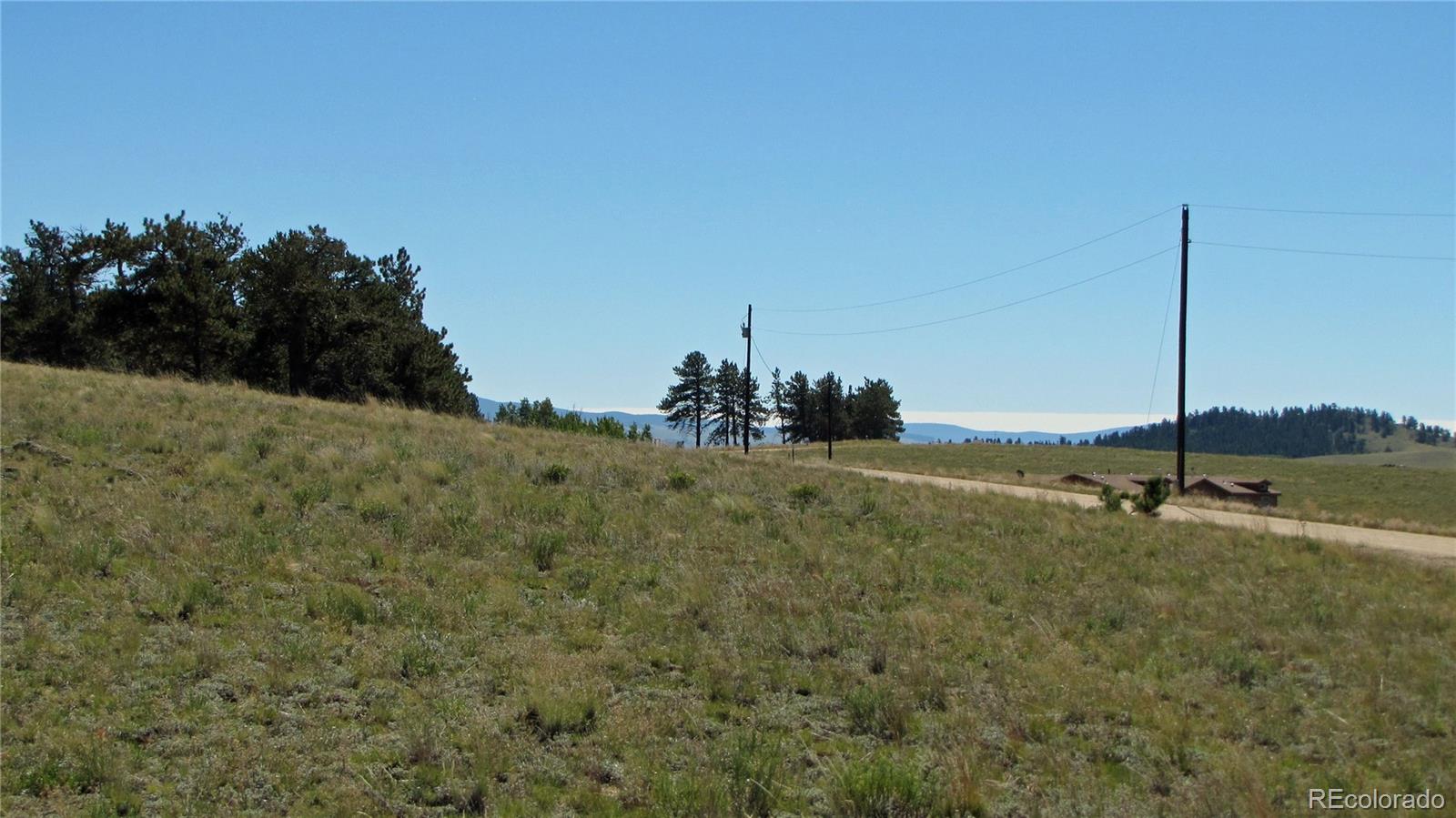 1198 Wagon Wheel Road Hartsel, CO 80449 - Photo 18 of 22