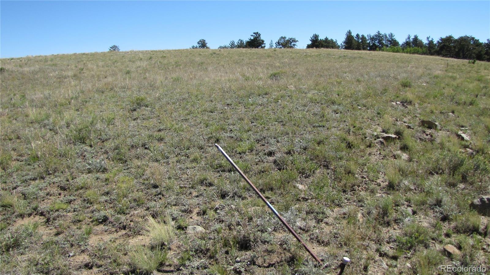 1198 Wagon Wheel Road Hartsel, CO 80449 - Photo 21 of 22