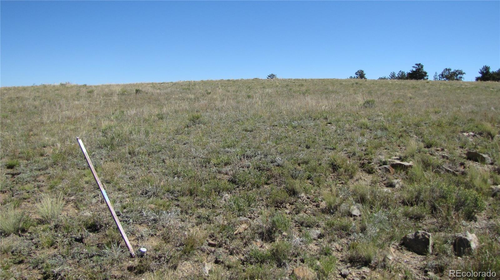 1198 Wagon Wheel Road Hartsel, CO 80449 - Photo 22 of 22