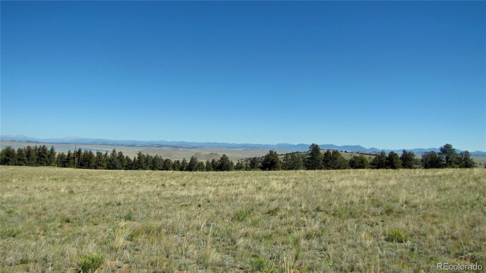 1198 Wagon Wheel Road Hartsel, CO 80449 - Photo 3 of 22