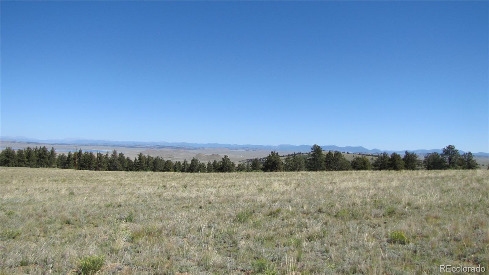 1198 Wagon Wheel Road Hartsel, CO 80449 - Photo 6 of 22