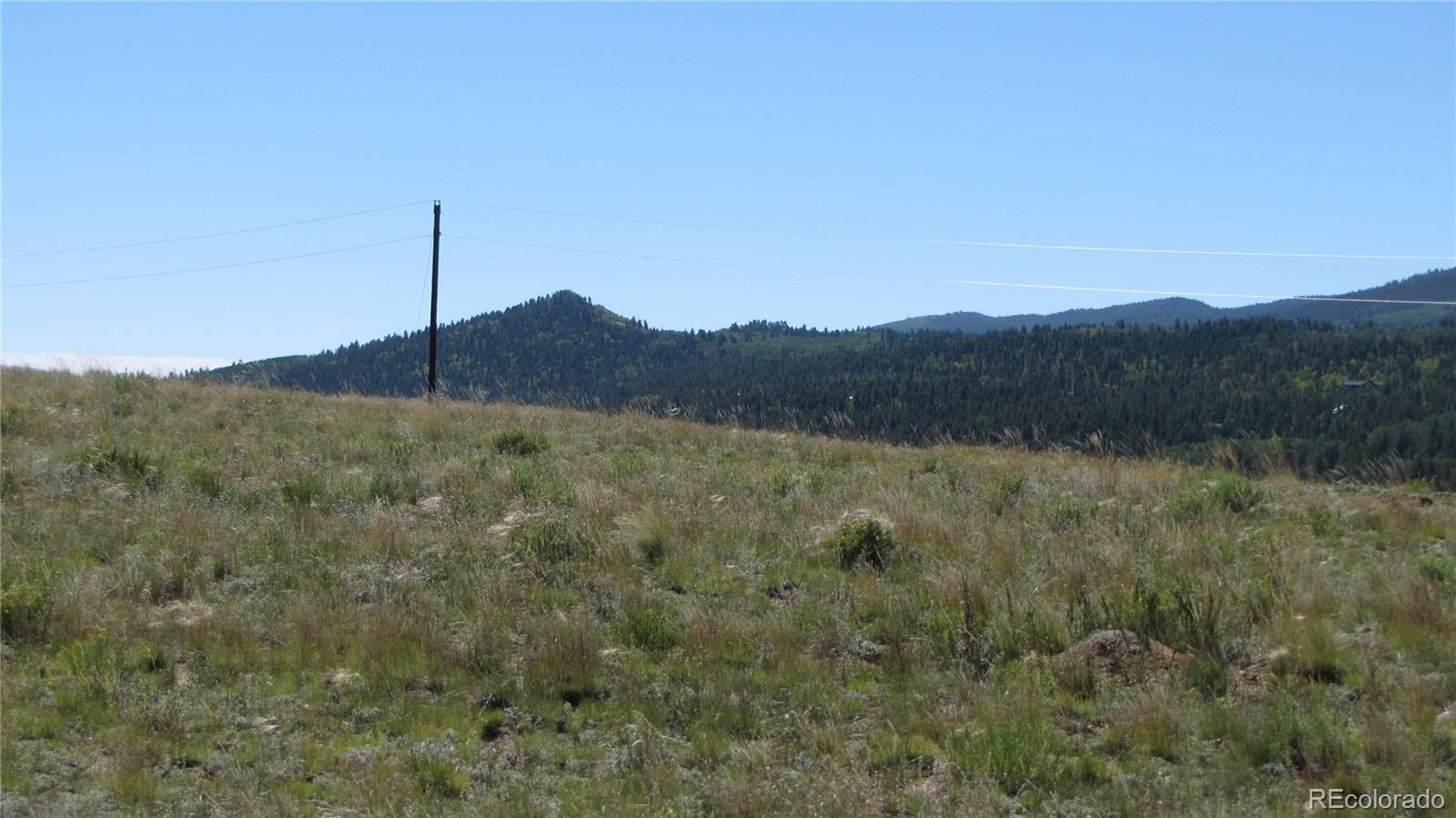 1198 Wagon Wheel Road Hartsel, CO 80449 - Photo 9 of 22