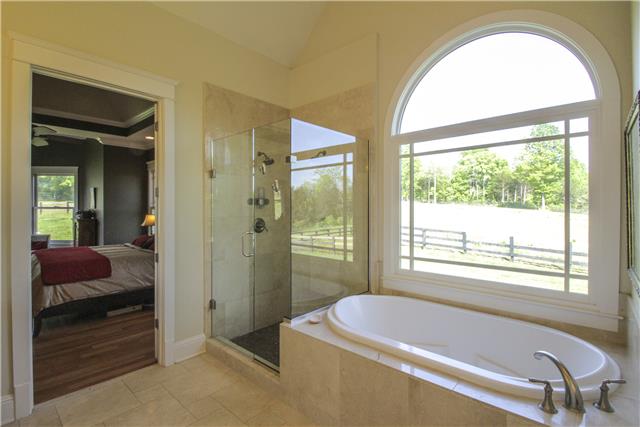 4928 Ash Hill Road Spring Hill, TN 37174 - Photo 14 of 20 Master Bathroom with garden tub and walk in shower