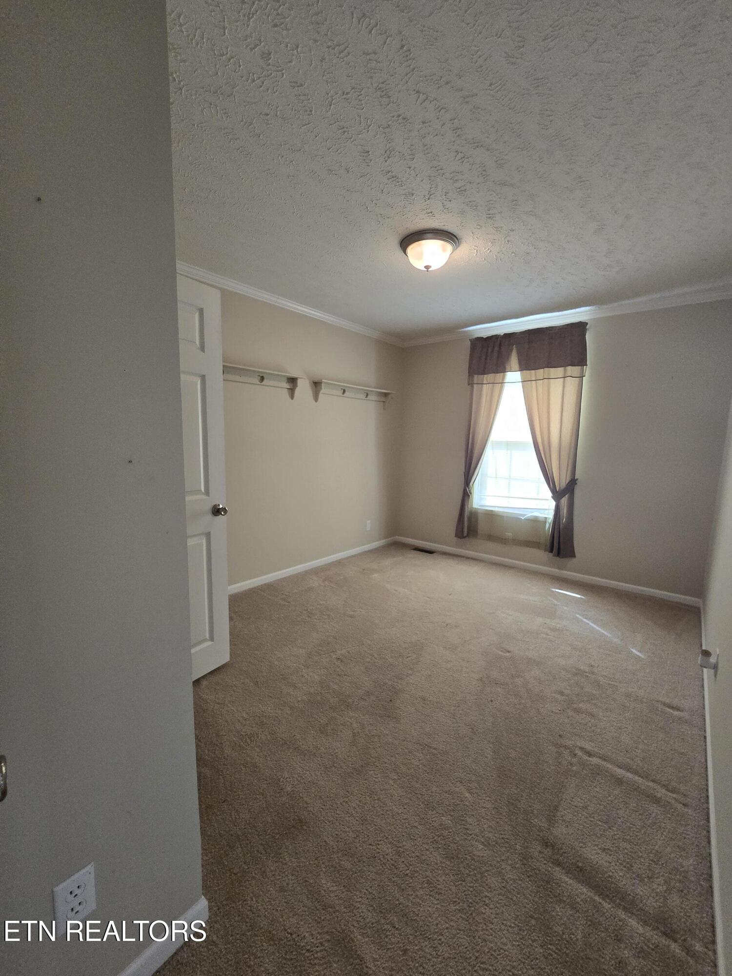 1338 Central Point Road Rutledge, TN 37861 - Photo 19 of 27 1000017785