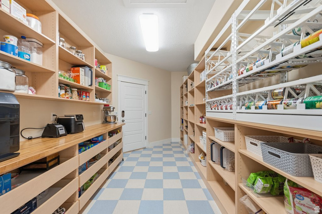 672 Perry Hollow Drive Mapleton, UT 84664 - Photo 34 of 106 Spacious pantry featuring extensive light wood-finish shelving, a butcher block countertop, white beadboard door, light blue and white checkered flooring, and overhead flush-mount lighting