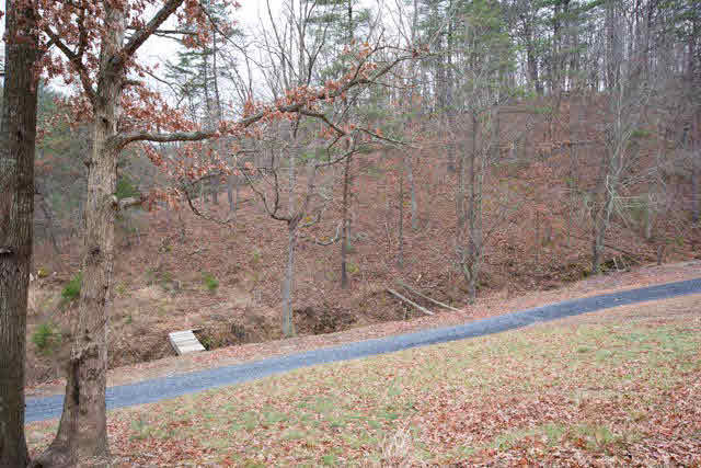 10085 Genoa Road Fulks Run, VA 22830 - Photo 28 of 33 Gallery Image 28