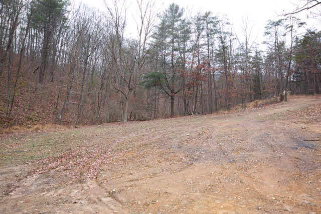 10085 Genoa Road Fulks Run, VA 22830 - Photo 29 of 33 Gallery Image 29