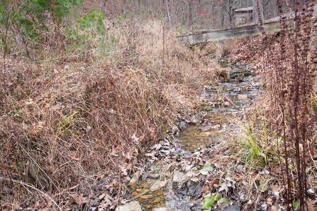 10085 Genoa Road Fulks Run, VA 22830 - Photo 31 of 33 Gallery Image 31