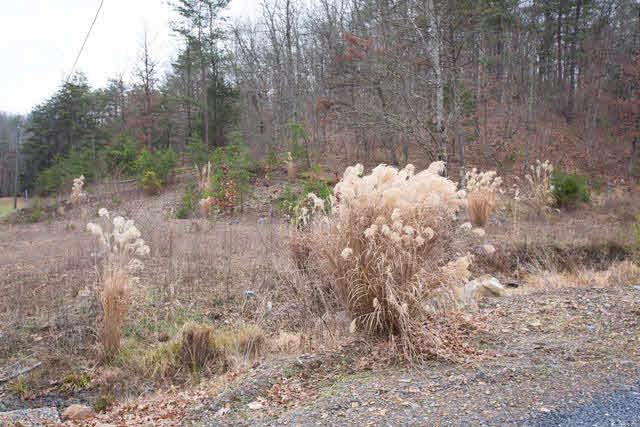 10085 Genoa Road Fulks Run, VA 22830 - Photo 33 of 33 Gallery Image 33