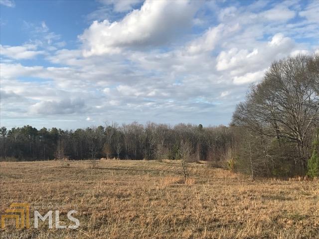 0 Hilltop Road Roopville, GA 30170 - Photo 1 of 1