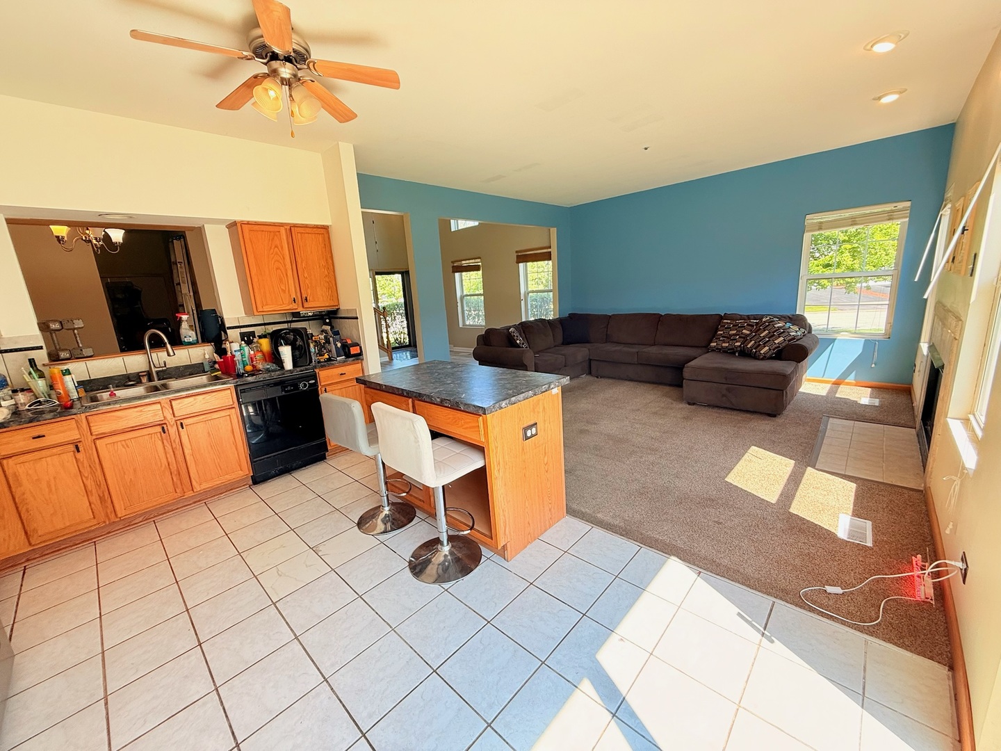 911 Berry Path Trail, Unit 911 Matteson, IL 60443 - Photo 13 of 34