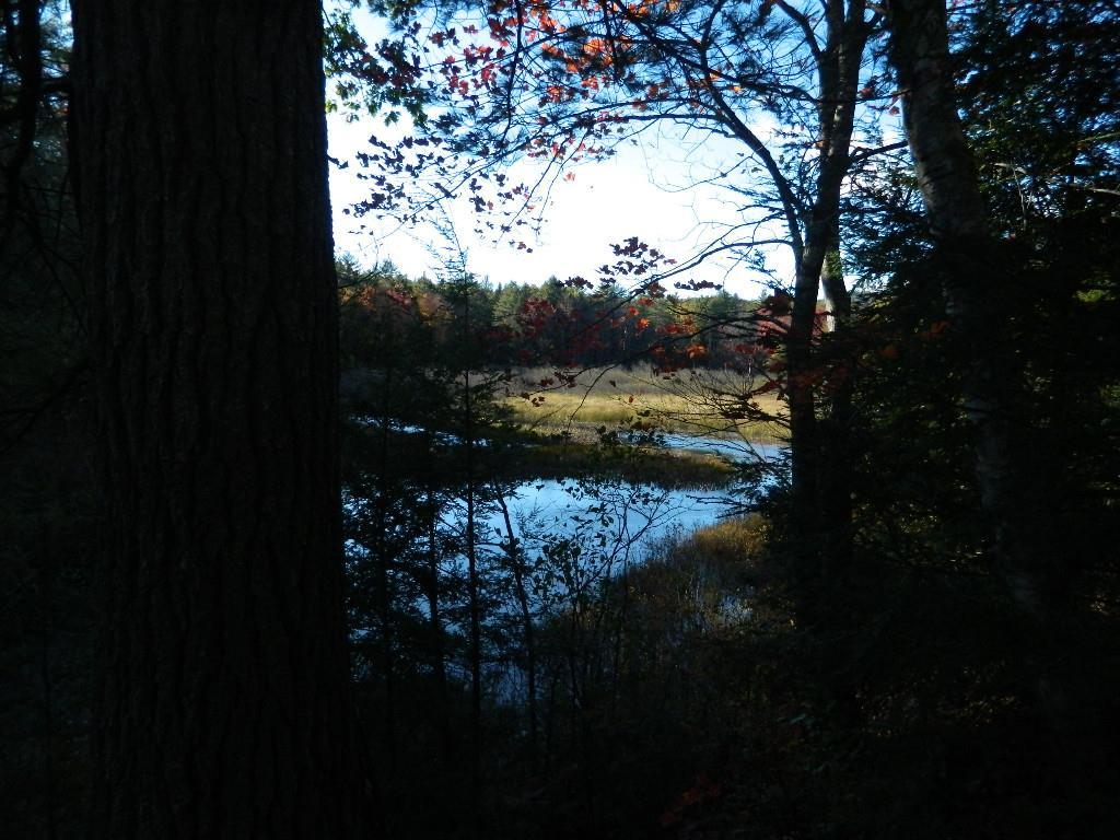 125 Douglas Mill Road Porter, ME 04068 - Photo 8 of 15 Photo