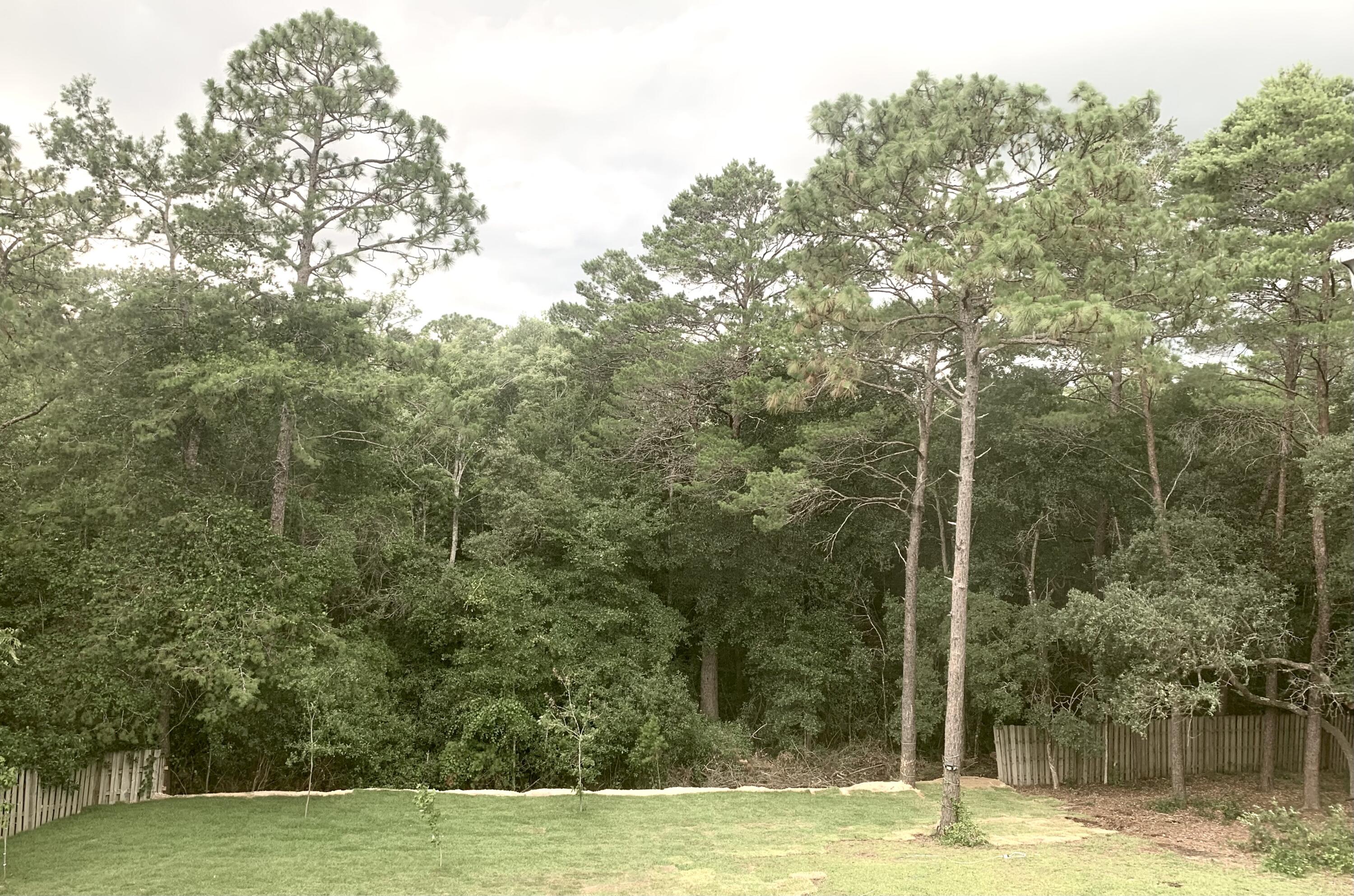 449 Ruckel Drive Niceville, FL 32578 - Photo 37 of 38 IMG_1467 (1)