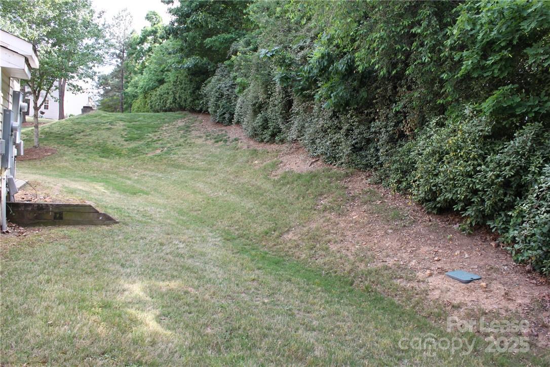 17013 Turning Stick Court Charlotte, NC 28213 - Photo 27 of 27 a view of a yard with a tree