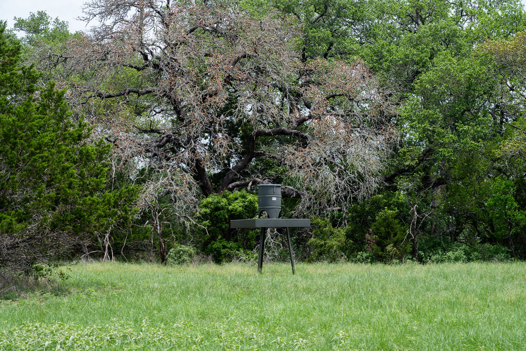 426 Mill Run New Braunfels, TX 78132 - Photo 17 of 40 a view of outdoor space and yard
