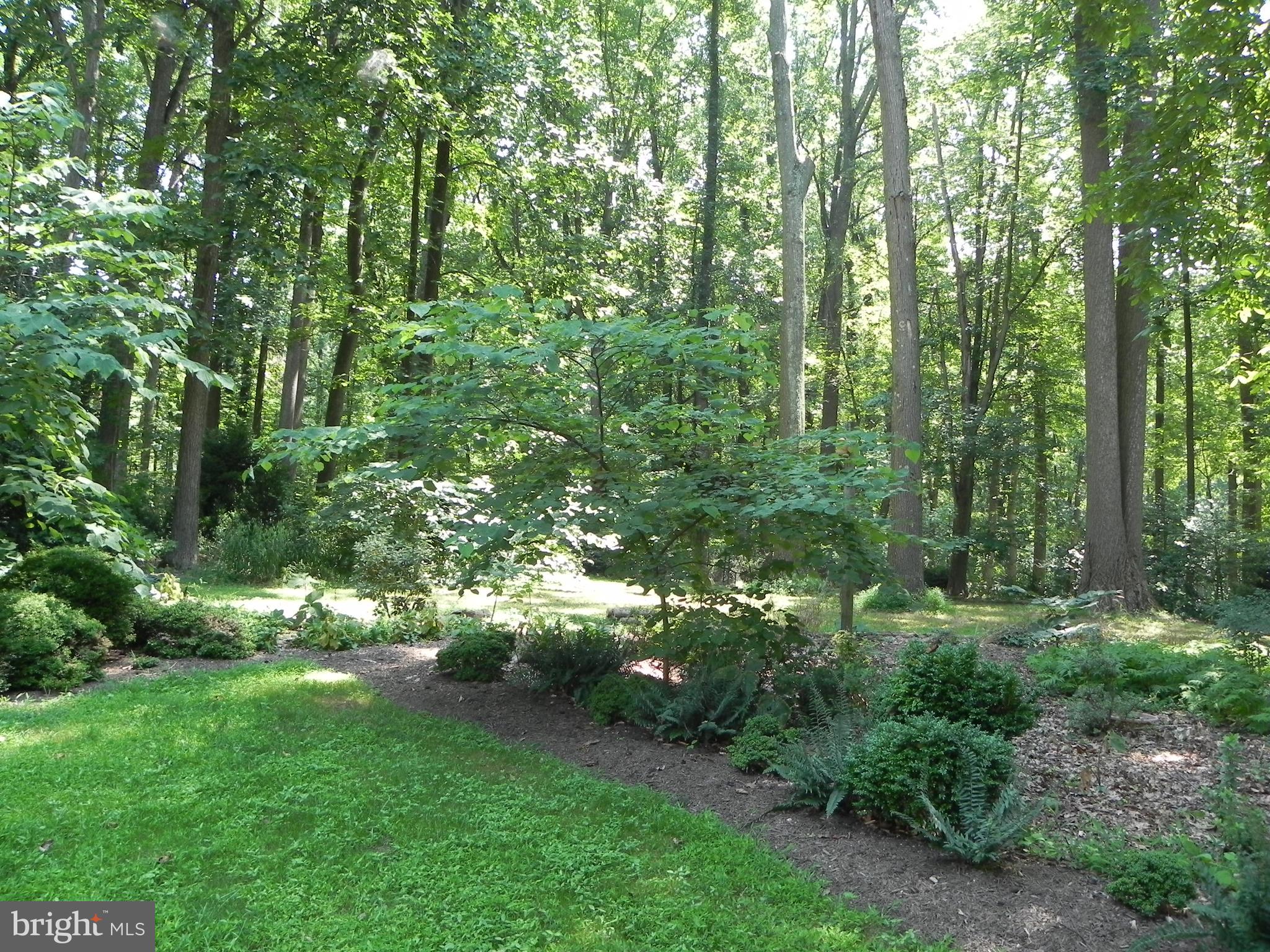1700 Parkvue Road Fallston, MD 21047 - Photo 45 of 64