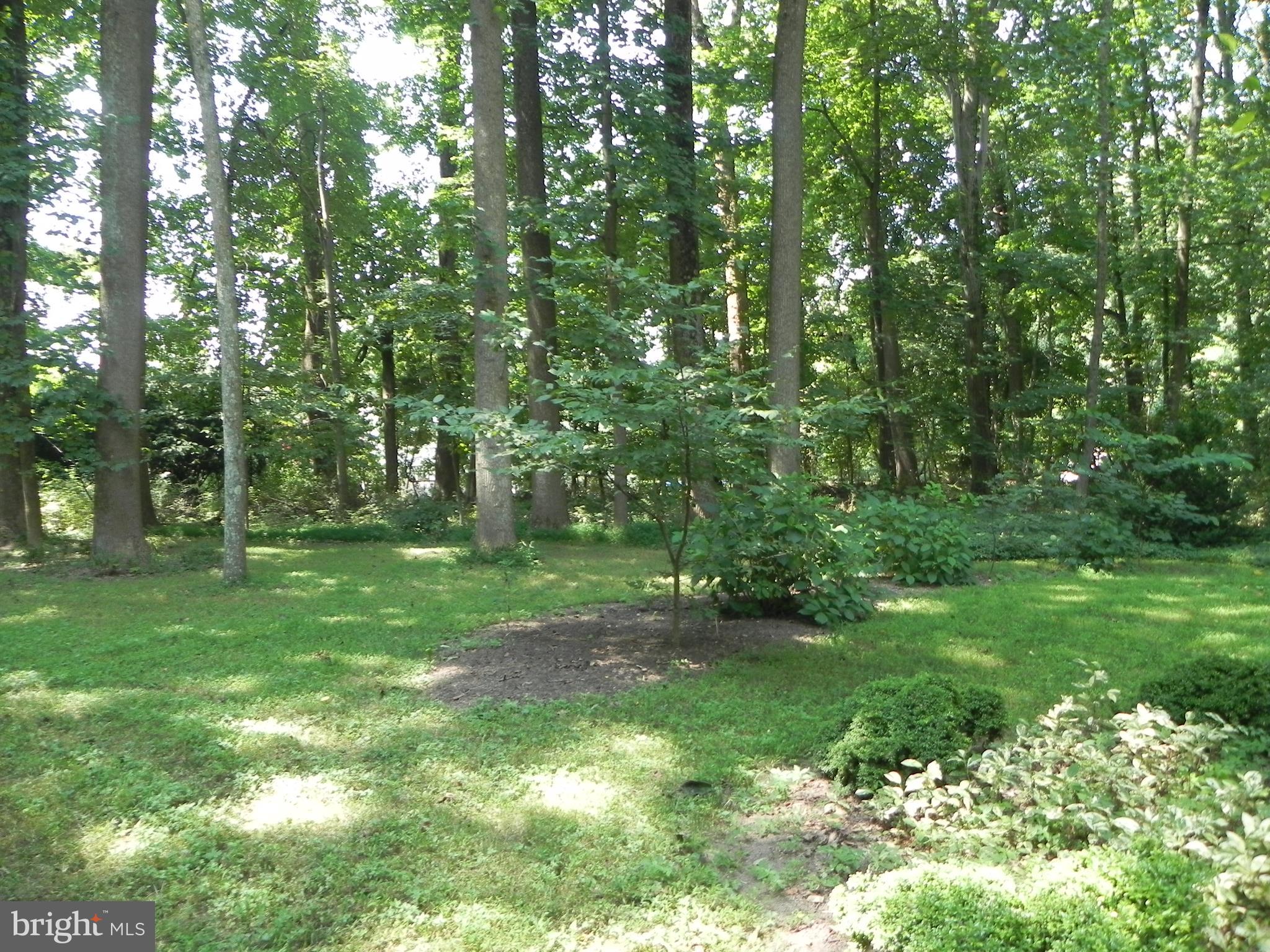 1700 Parkvue Road Fallston, MD 21047 - Photo 57 of 64