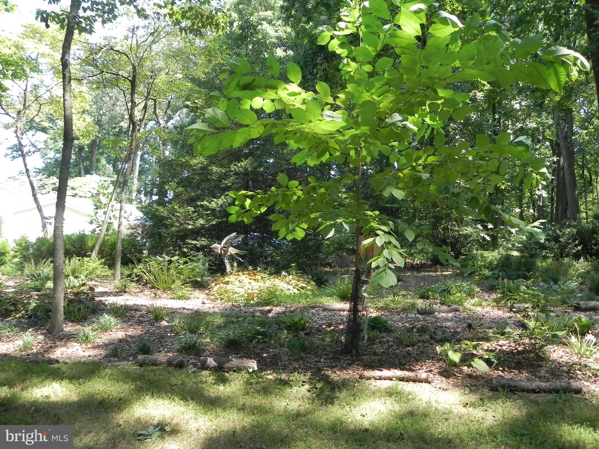 1700 Parkvue Road Fallston, MD 21047 - Photo 60 of 64