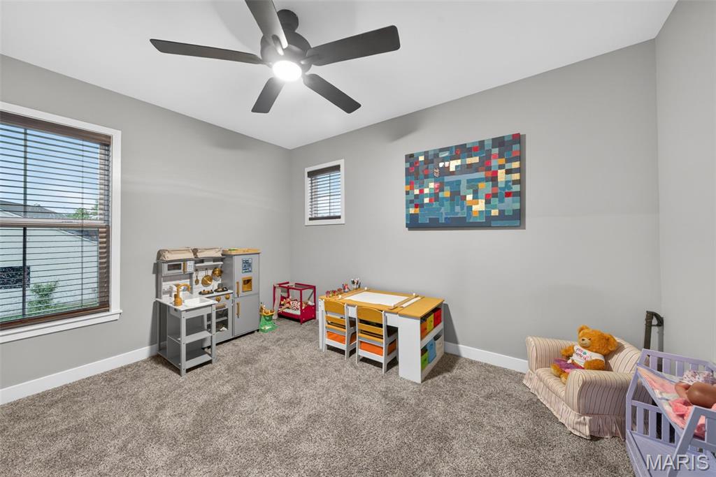 820 Upland Loop O'Fallon, MO 63368 - Photo 25 of 49