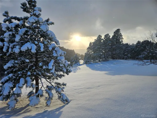 $4,188 | 18475 West Road, Monument, CO 80132