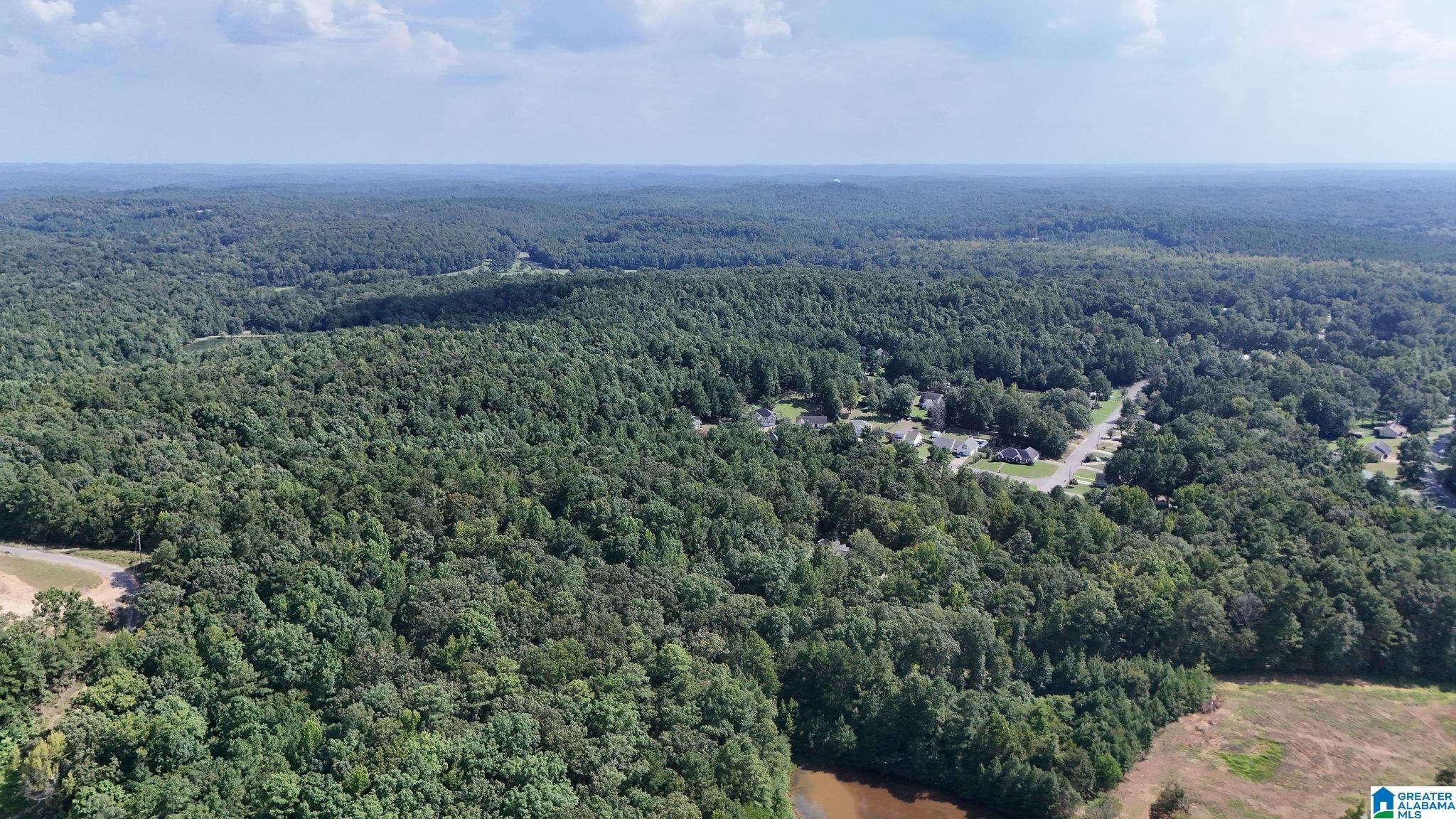 0 Clements Road Cottondale, AL 35453 - Photo 13 of 13 Gallery Image 13