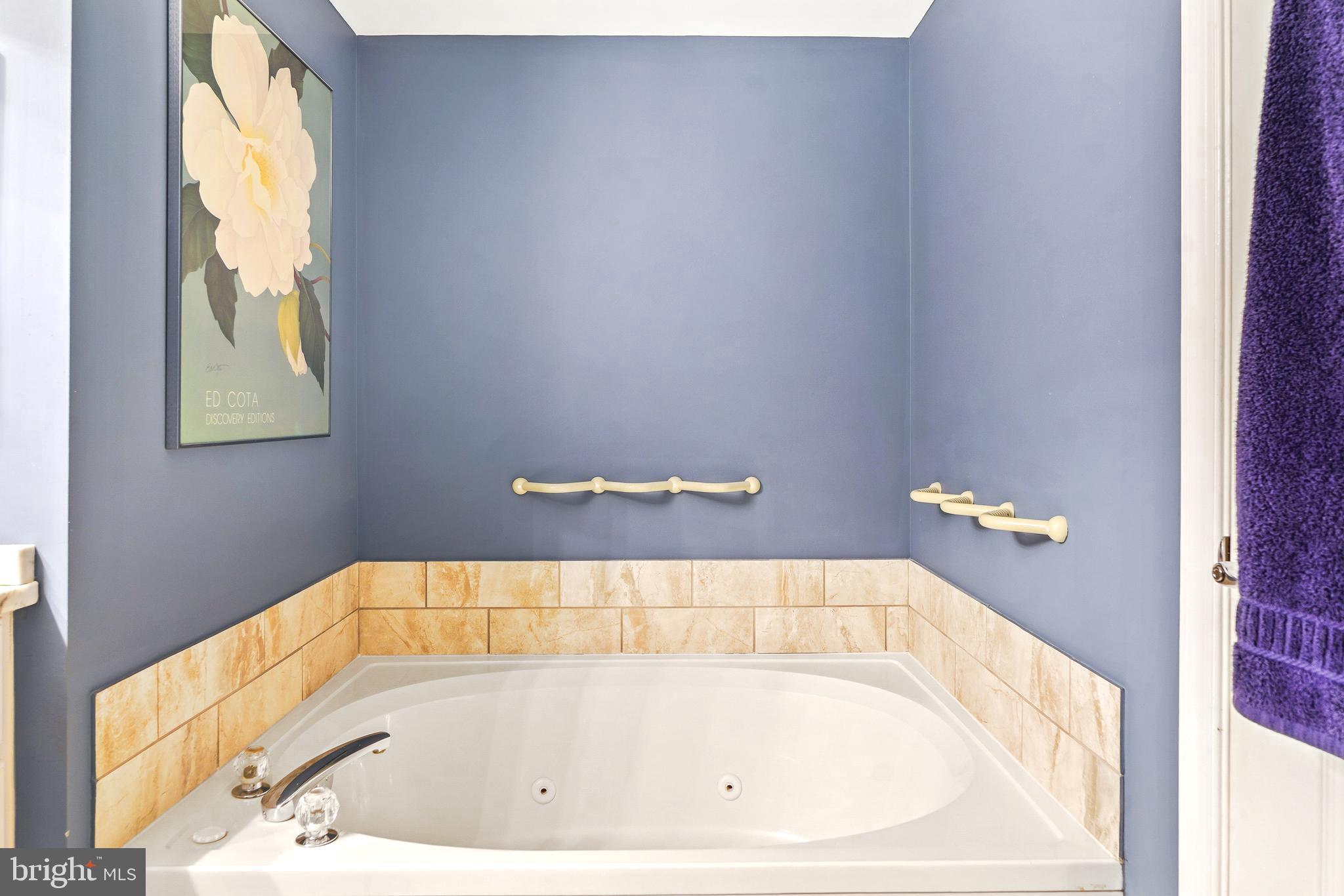 14801 Pennfield Circle, Unit 302 Silver Spring, MD 20906 - Photo 22 of 45 Luxury jetted tub with custom grab bars!