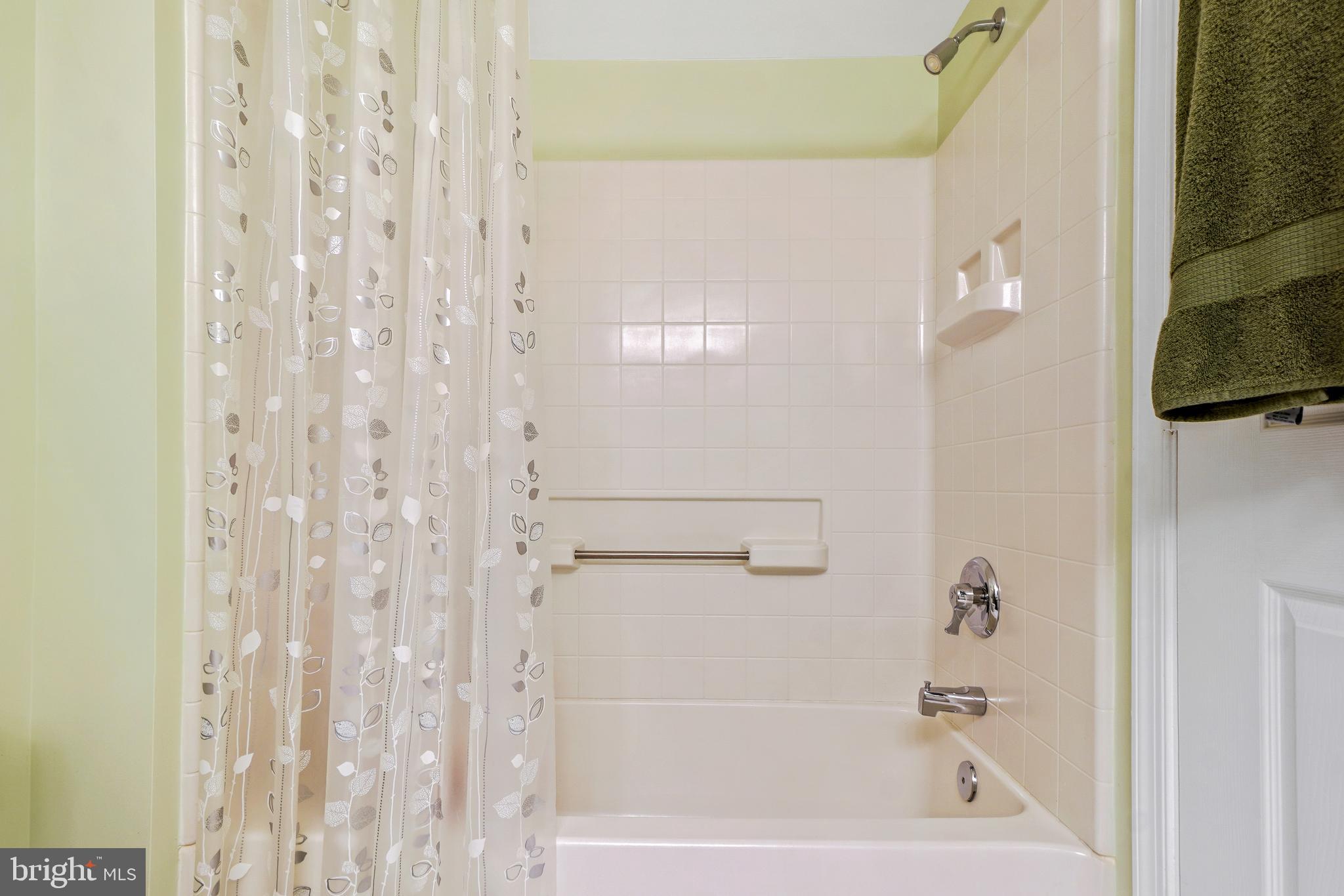 14801 Pennfield Circle, Unit 302 Silver Spring, MD 20906 - Photo 28 of 45 Tub shower, designer paint!