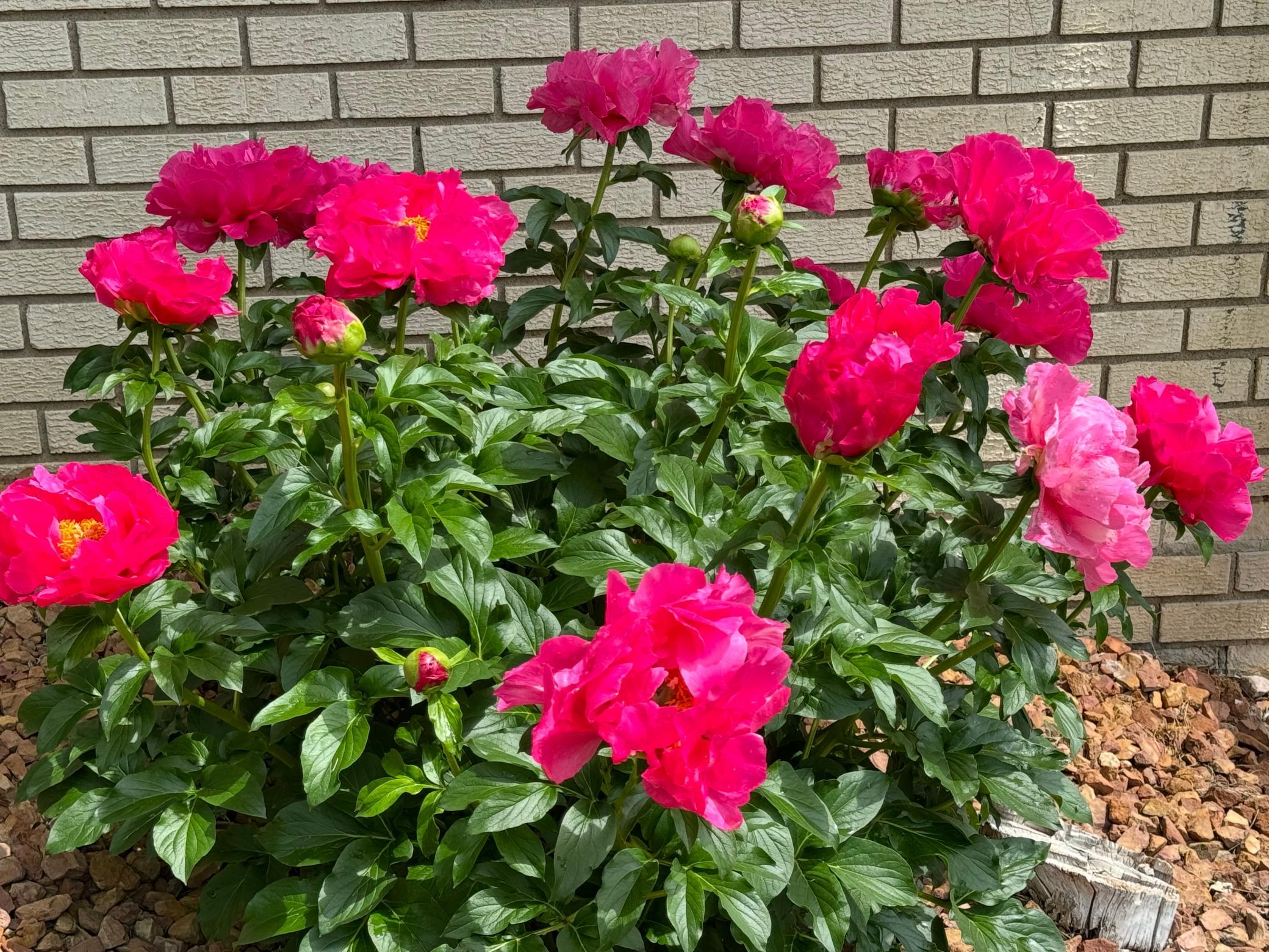 4200 Philbrook Lane Edina, MN 55424 - Photo 40 of 52