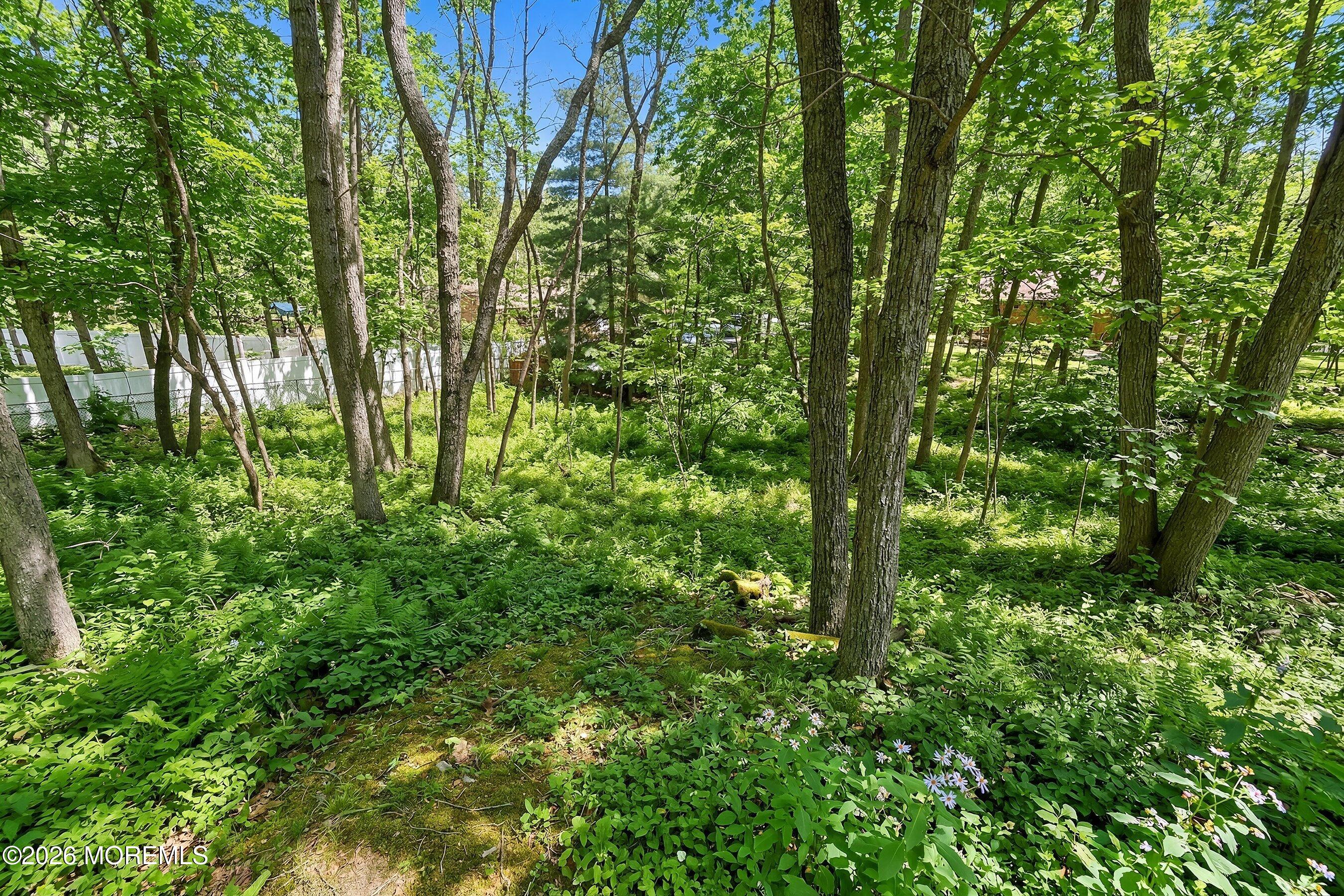 151 North Cooks Bridge Road Jackson, NJ 08527 - Photo 37 of 48 a view of lush green forest
