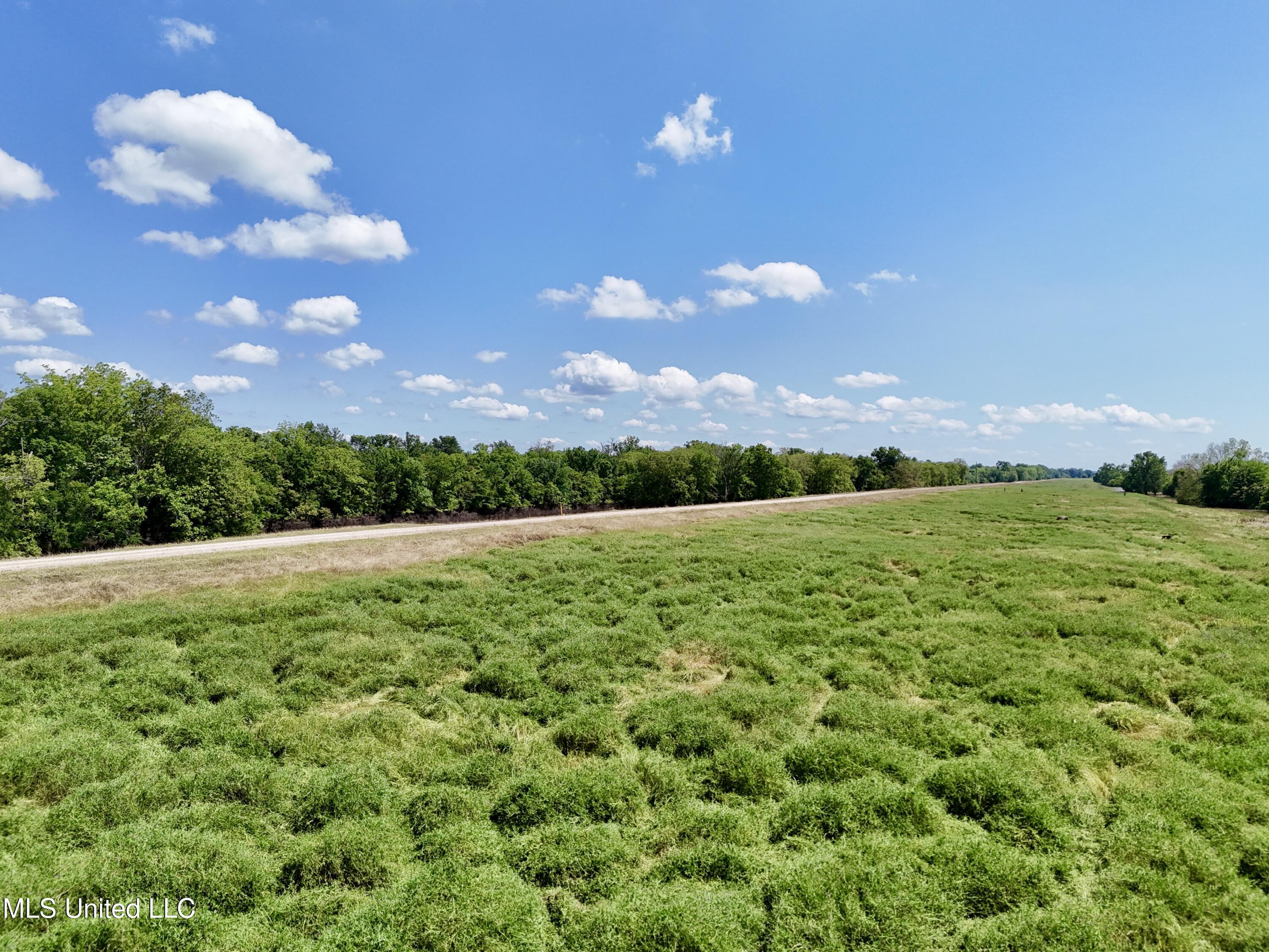 1 Levee Maintenance Road Redwood, MS 39156 - Photo 11 of 13 C940C49B-5D23-444A-AECF-20D1848C32A3