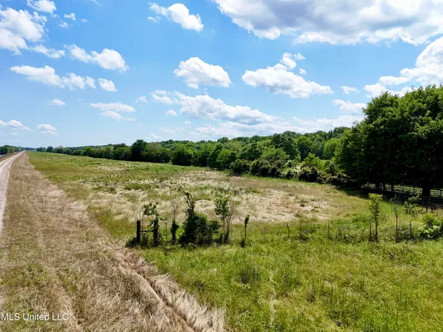 $294,700 | 1 Levee Maintenance Road, Redwood, MS 39156