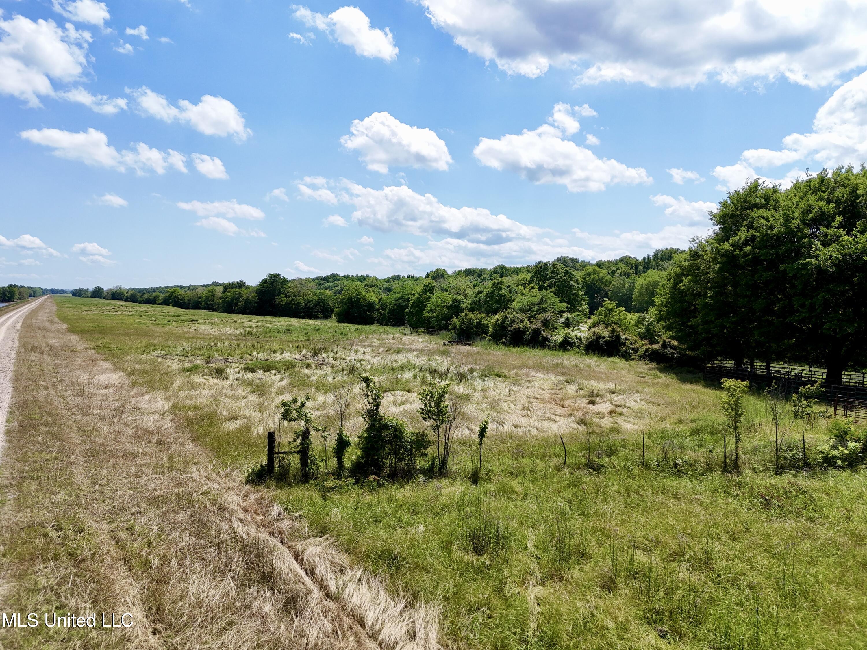 1 Levee Maintenance Road Redwood, MS 39156 - Photo 2 of 13 86F3CF6A-EE6E-448A-8C88-16430BFCC2C9