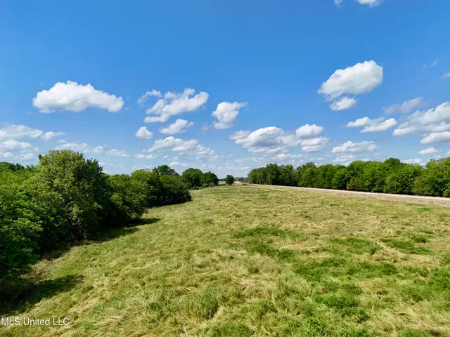 $294,700 | 1 Levee Maintenance Road, Redwood, MS 39156