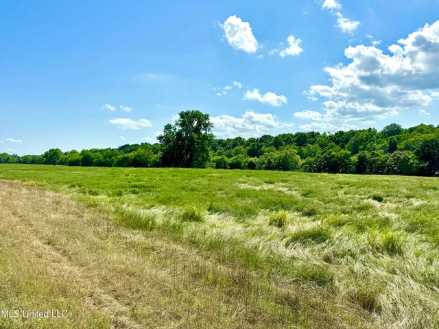 $294,700 | 1 Levee Maintenance Road, Redwood, MS 39156