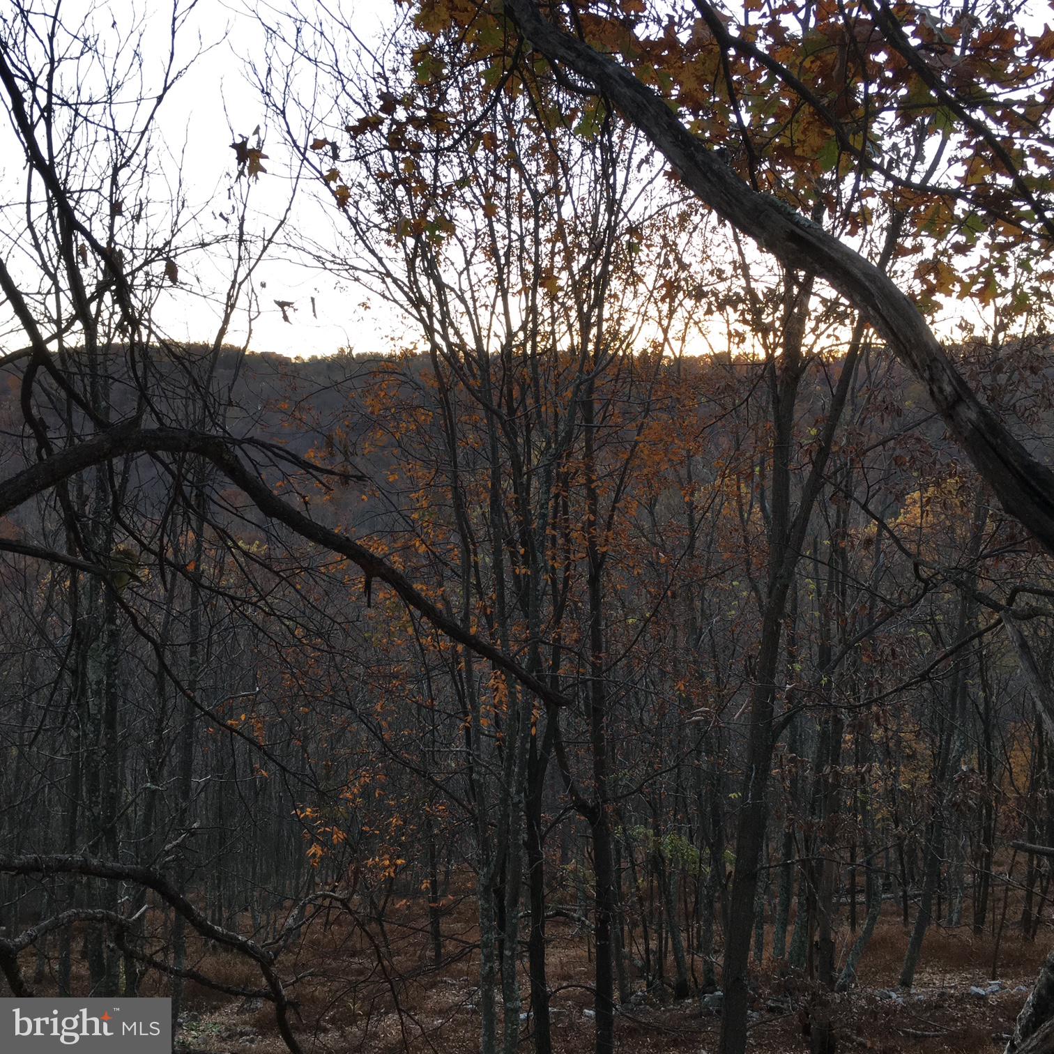 Lot 89 Orndorff Way Yellow Spring, WV 26865 - Photo 10 of 11