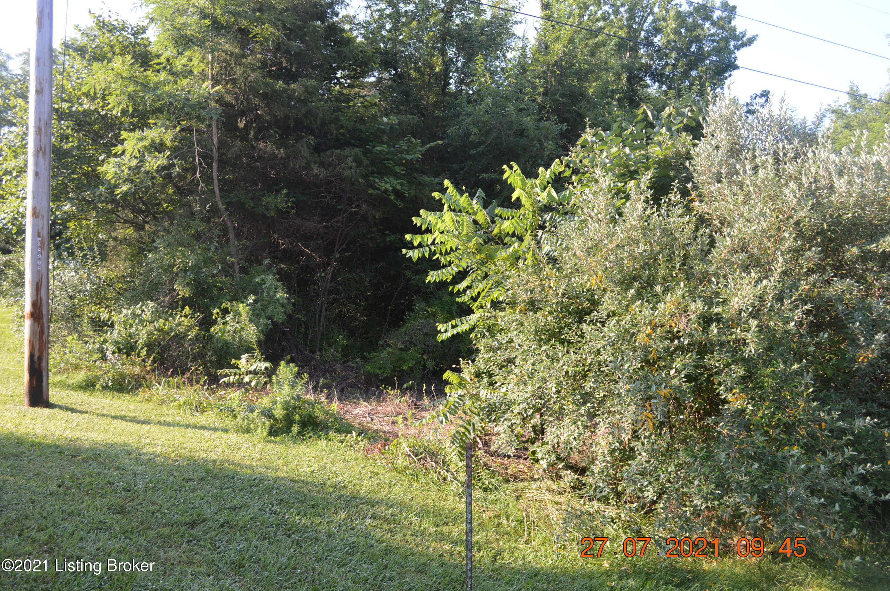 0 Silverview Road Smithfield, KY 40068 - Photo 8 of 8 DSC_0018