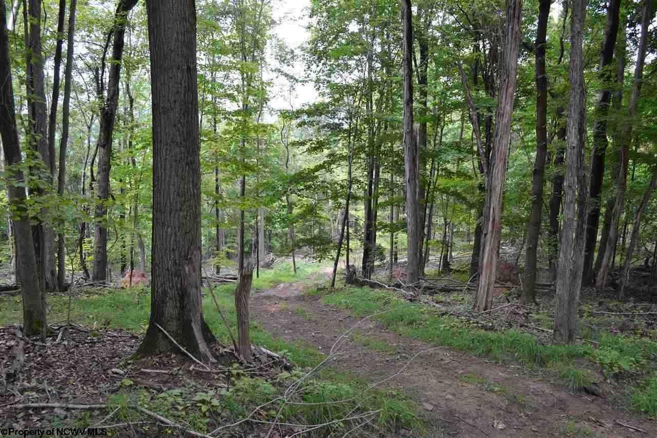 947 Statler Run Road Fairview, WV 26570 - Photo 5 of 9 Gallery Image 5