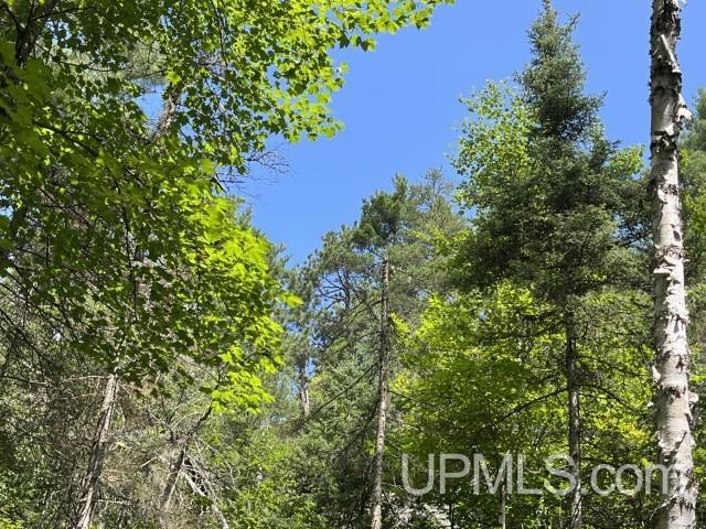 20-acres Willow Creek Road Negaunee, MI 49866 - Photo 8 of 17