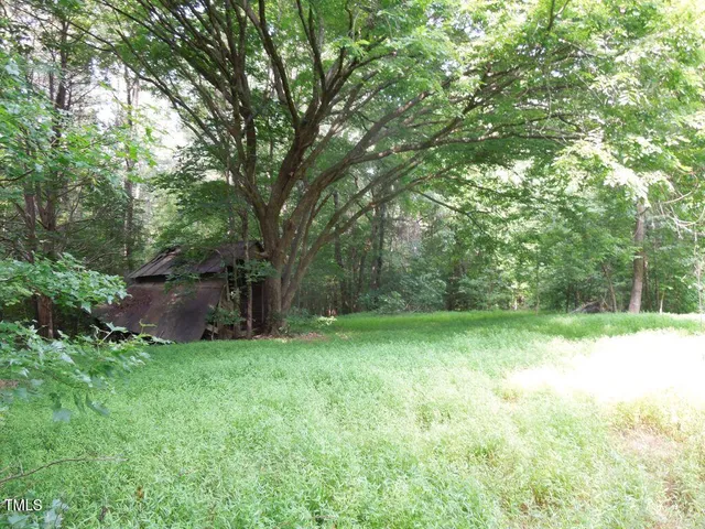 a view of a big yard with large trees