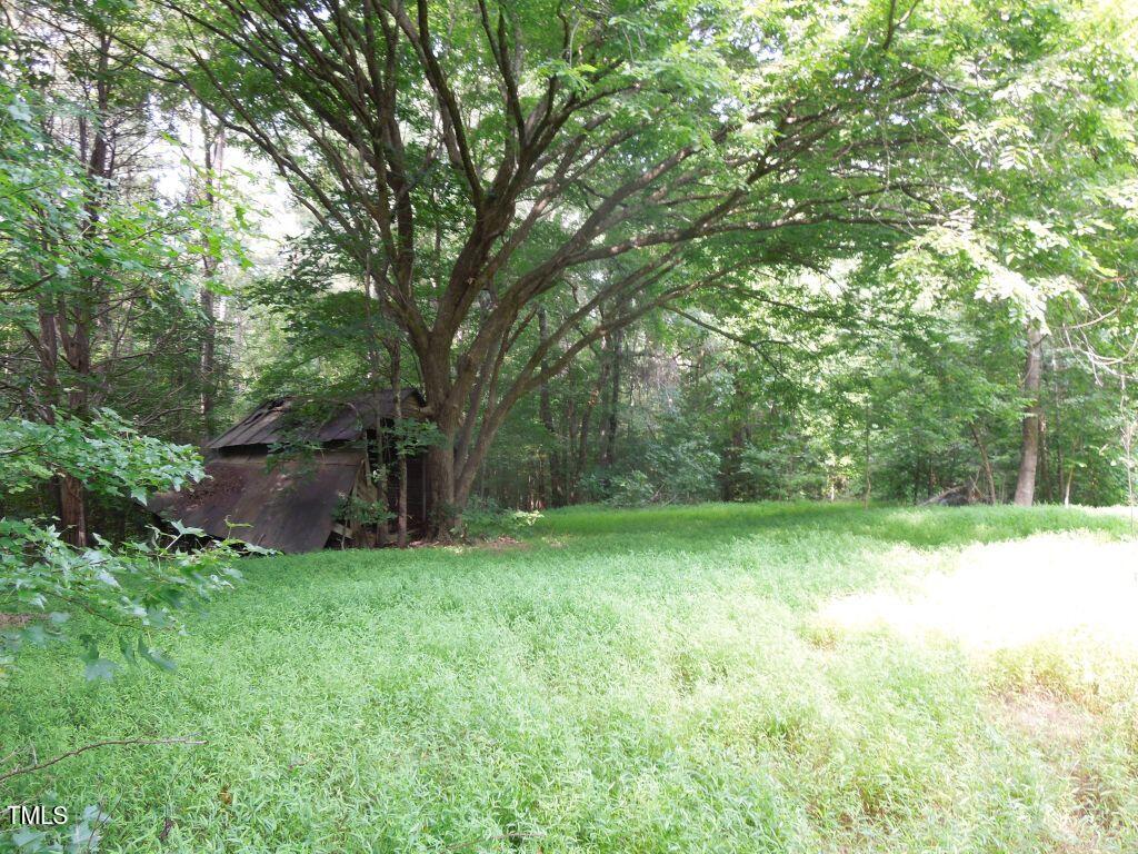 0 Noel Tuck Road Oxford, NC 27565 - Photo 11 of 18 a view of a big yard with large trees
