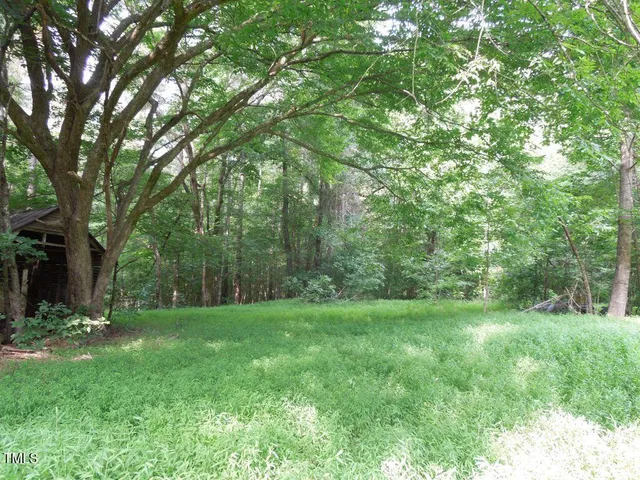 a view of a grassy field with trees in the background