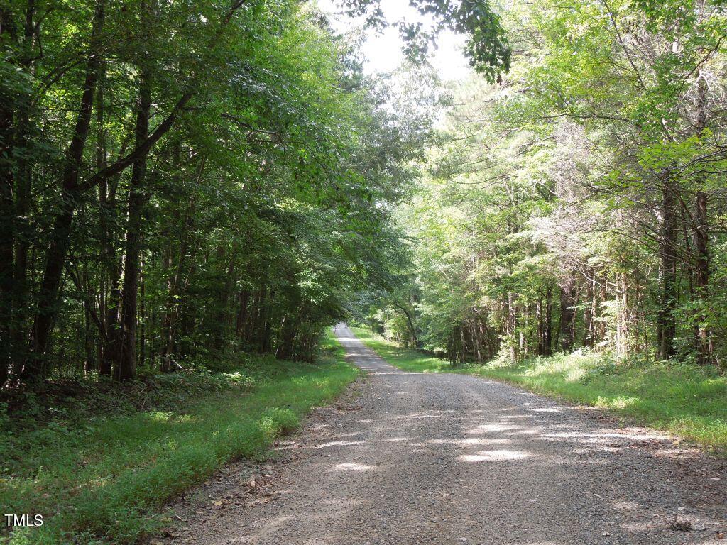 0 Noel Tuck Road Oxford, NC 27565 - Photo 14 of 18 a view of a yard with plants and trees